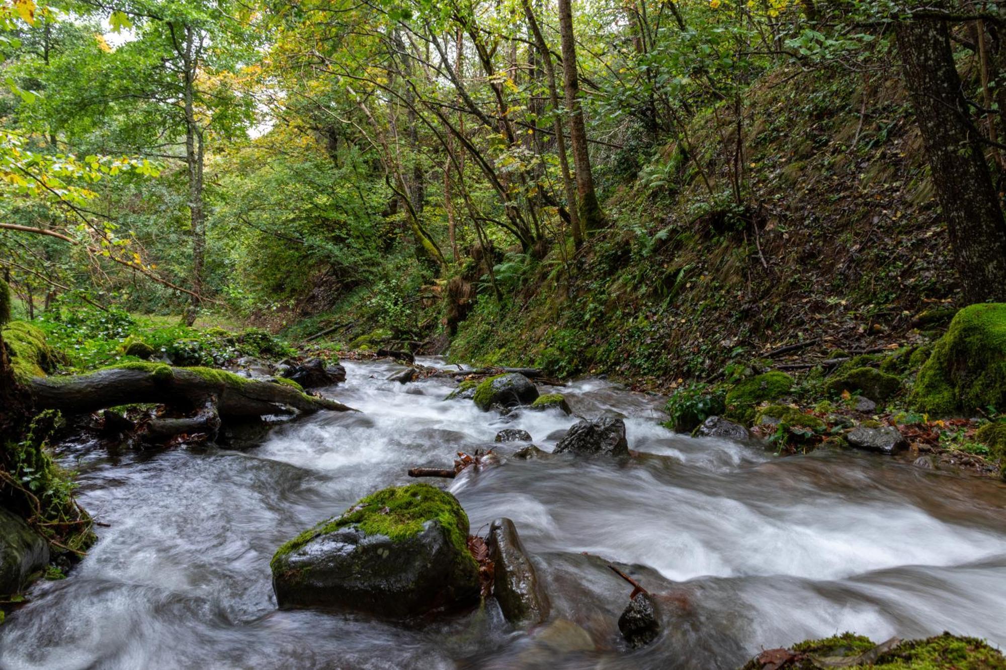 Vila Le Pradima Mandailles-Saint-Julien Exteriér fotografie