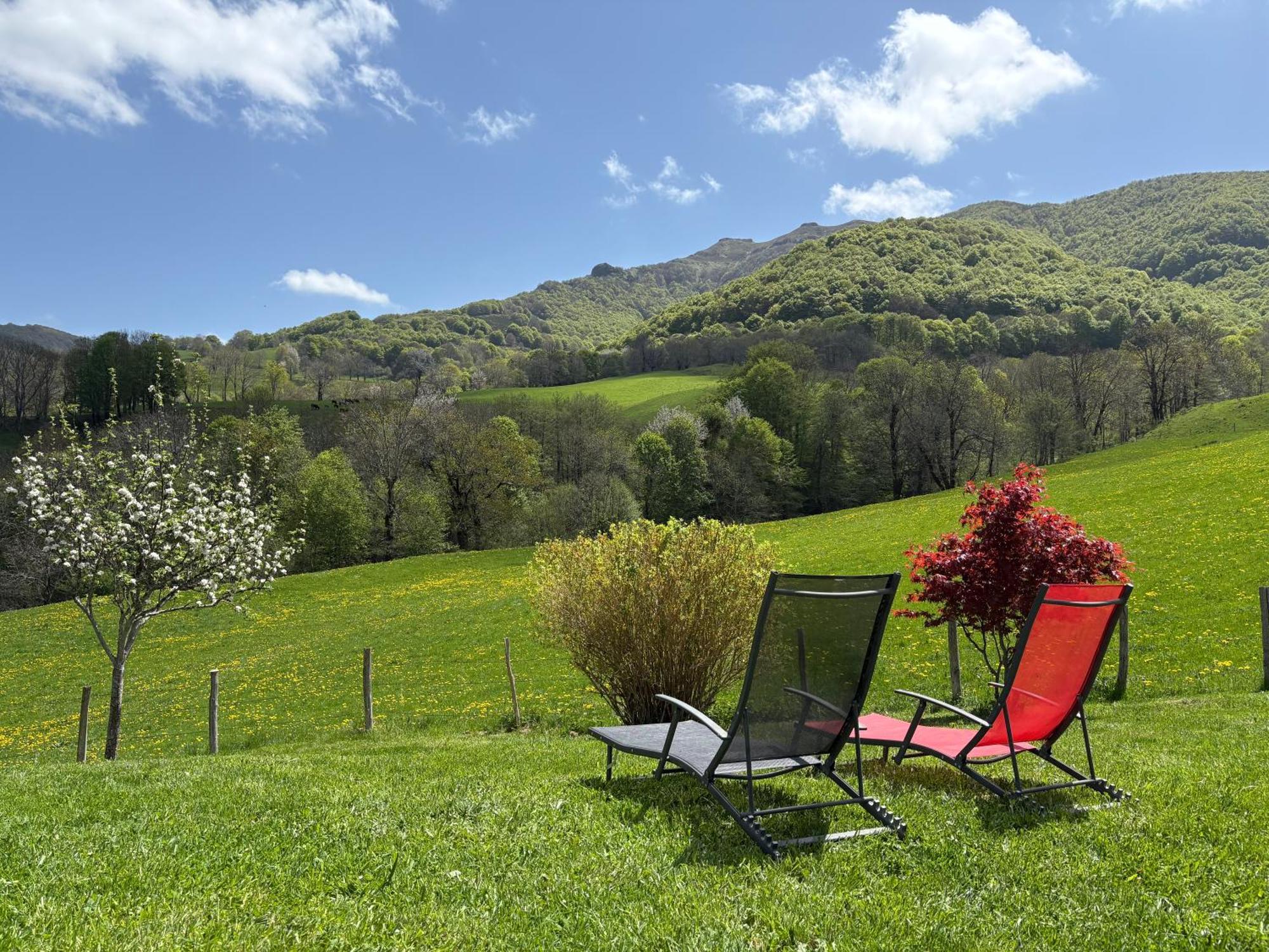 Vila Le Pradima Mandailles-Saint-Julien Exteriér fotografie